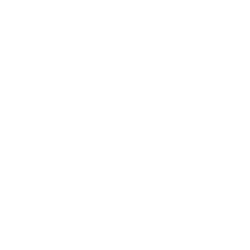 V F Corp